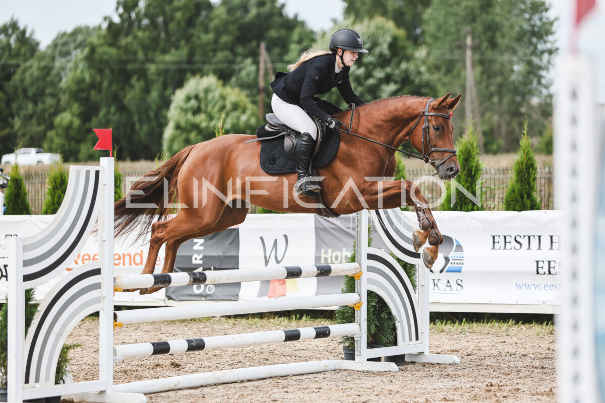 NHTS_2026_4_95cm_104