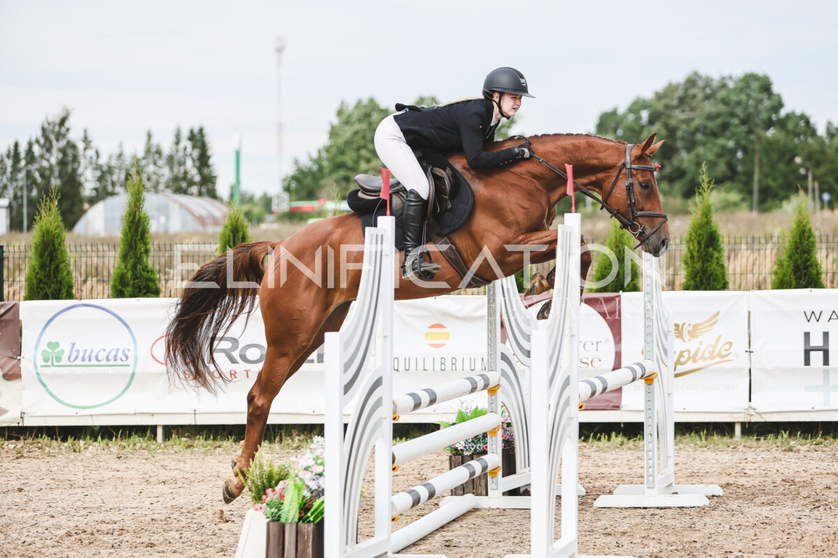 NHTS_2026_4_95cm_105