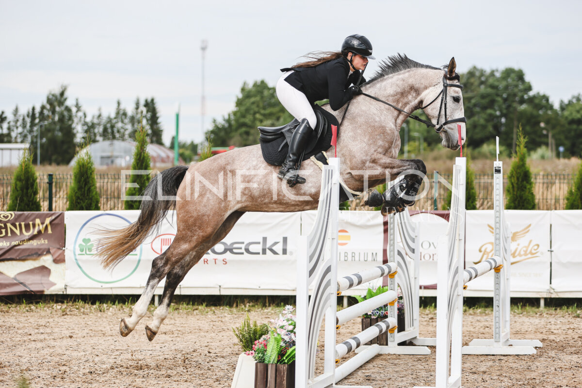 NHTS_2026_4_95cm_118