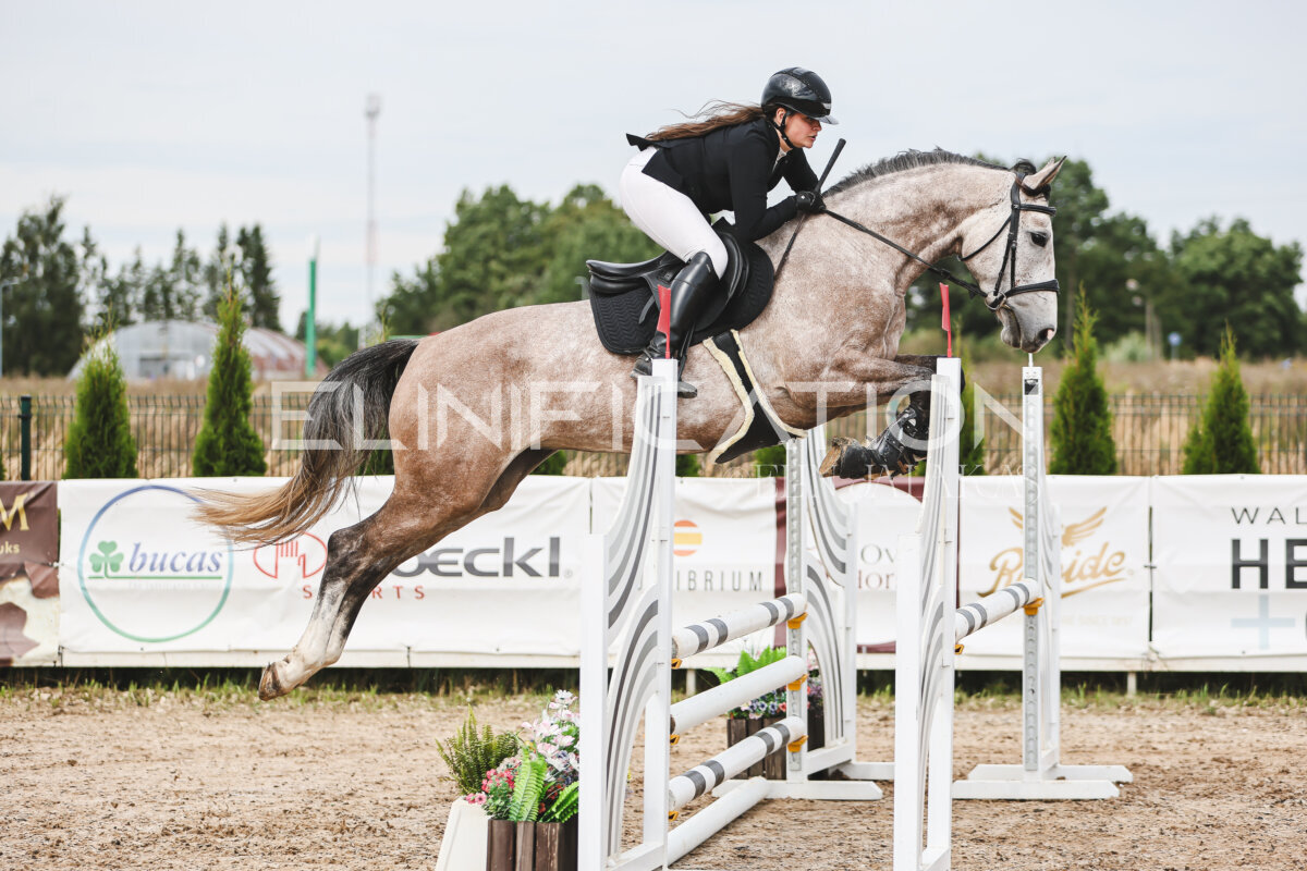 NHTS_2026_4_95cm_119
