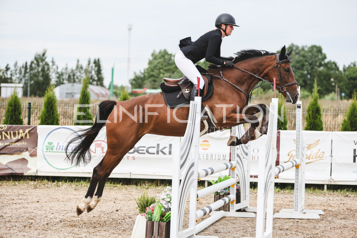 NHTS_2026_4_95cm_135