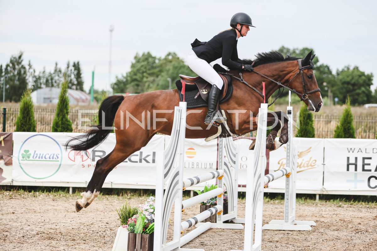 NHTS_2026_4_95cm_136