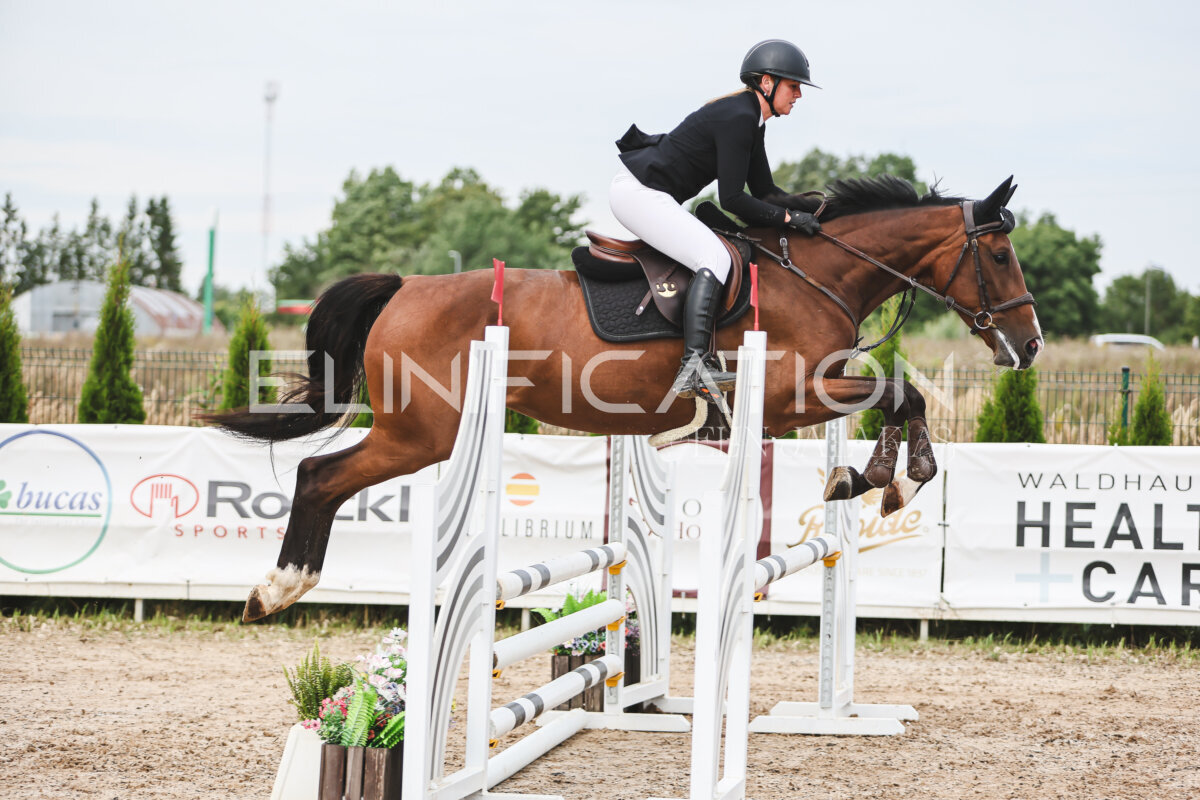 NHTS_2026_4_95cm_137