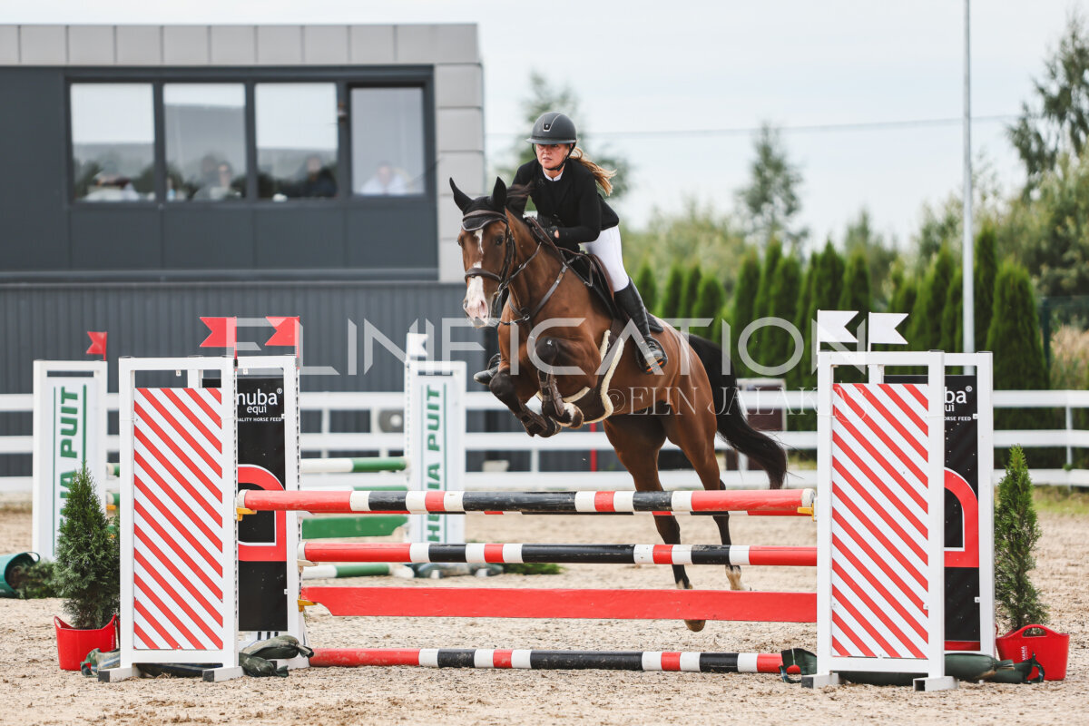 NHTS_2026_4_95cm_142