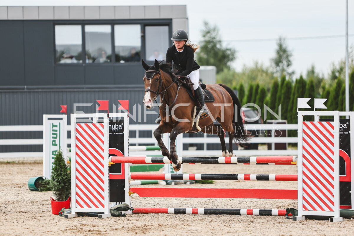 NHTS_2026_4_95cm_145