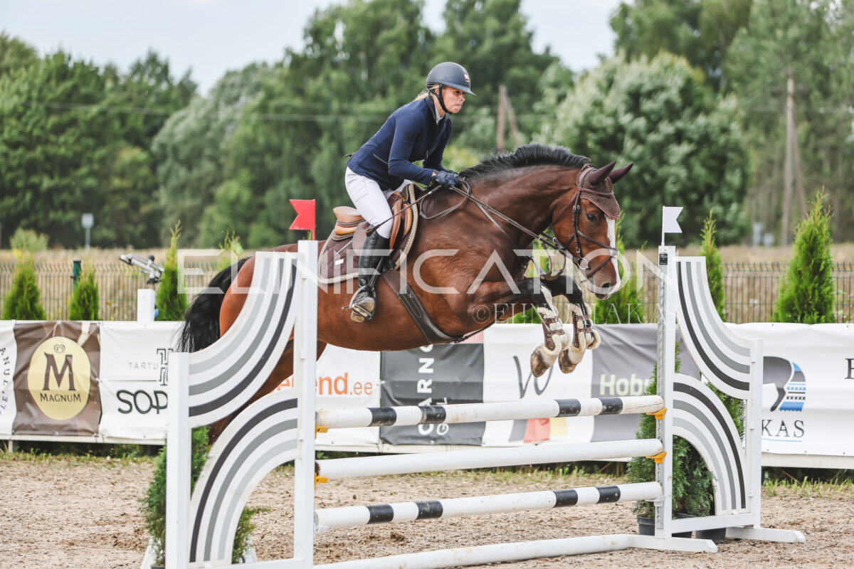 NHTS_2026_4_95cm_147