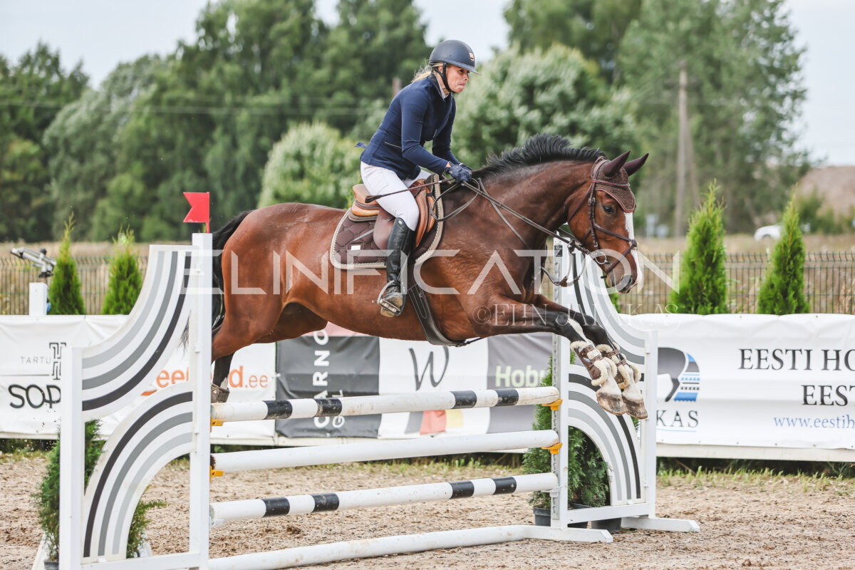 NHTS_2026_4_95cm_149