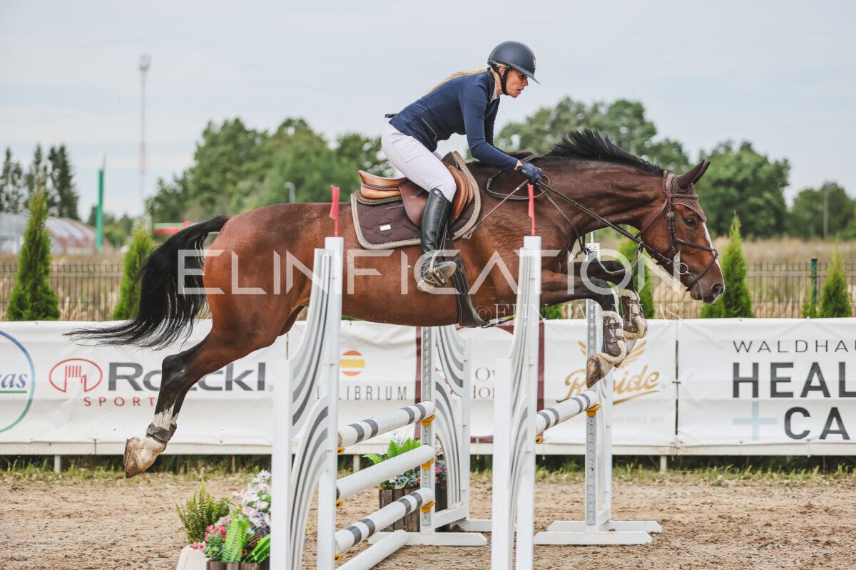 NHTS_2026_4_95cm_151