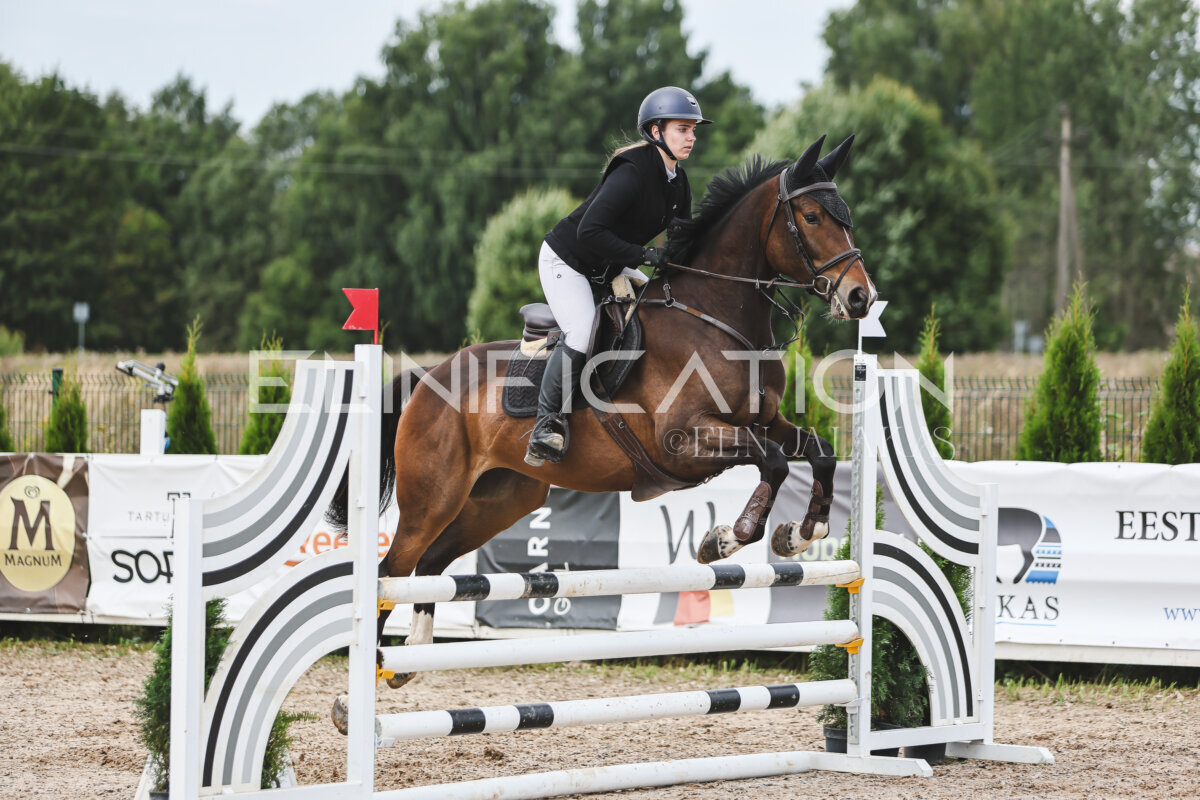 NHTS_2026_4_95cm_160