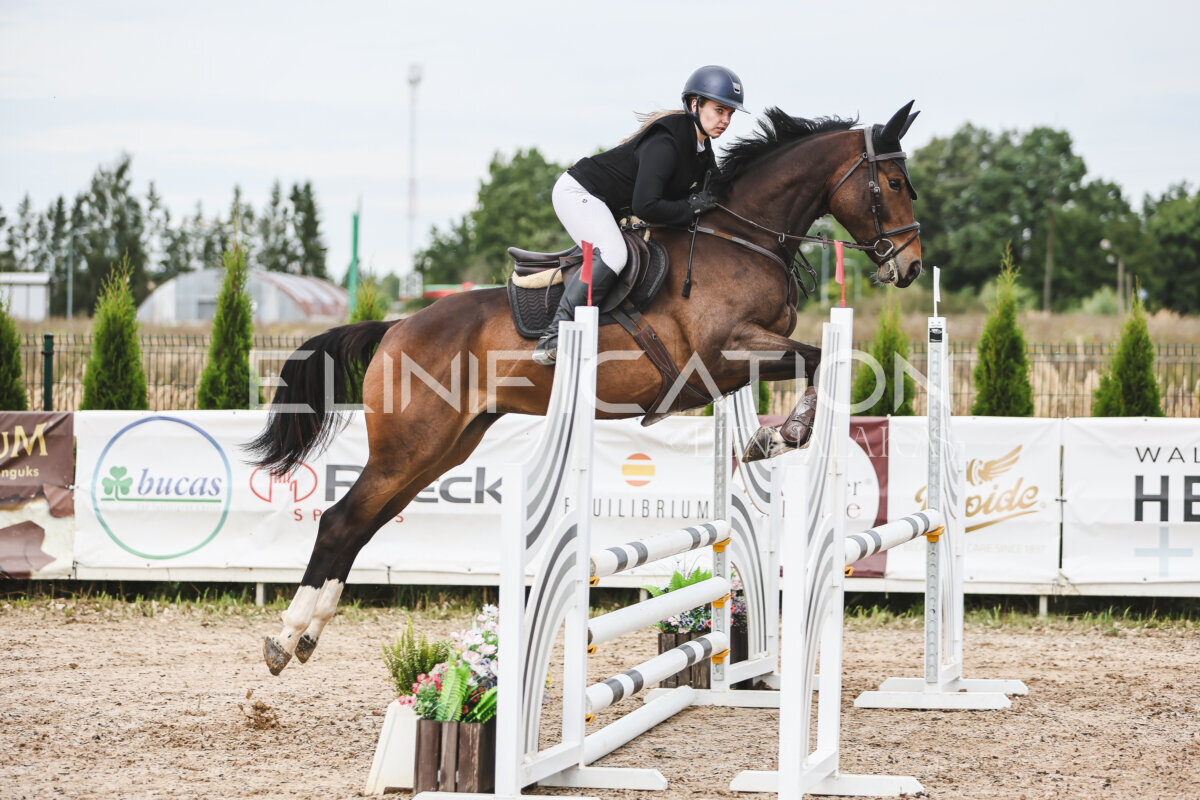 NHTS_2026_4_95cm_161