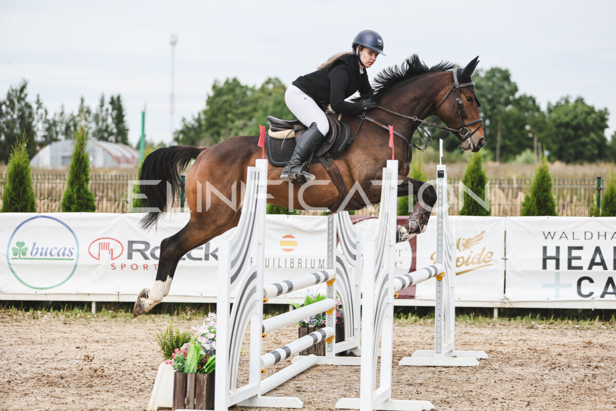 NHTS_2026_4_95cm_162