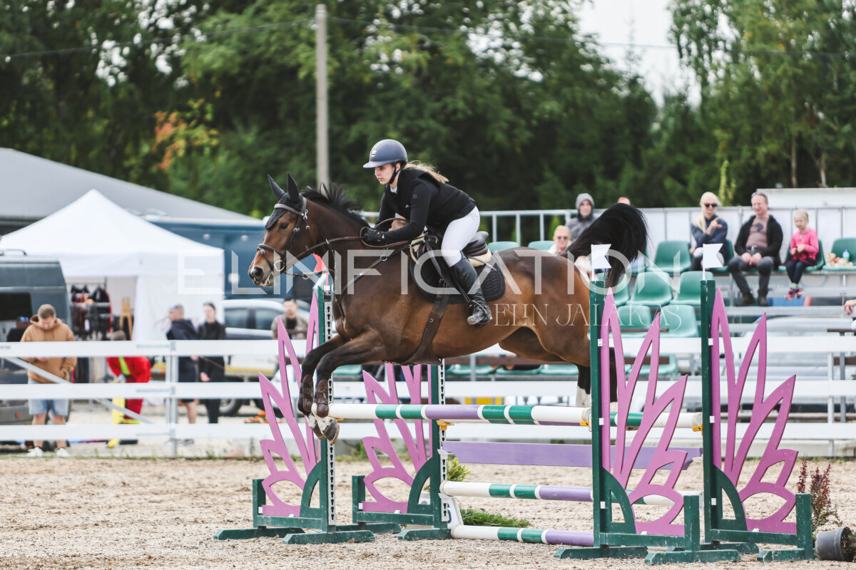 NHTS_2026_4_95cm_167