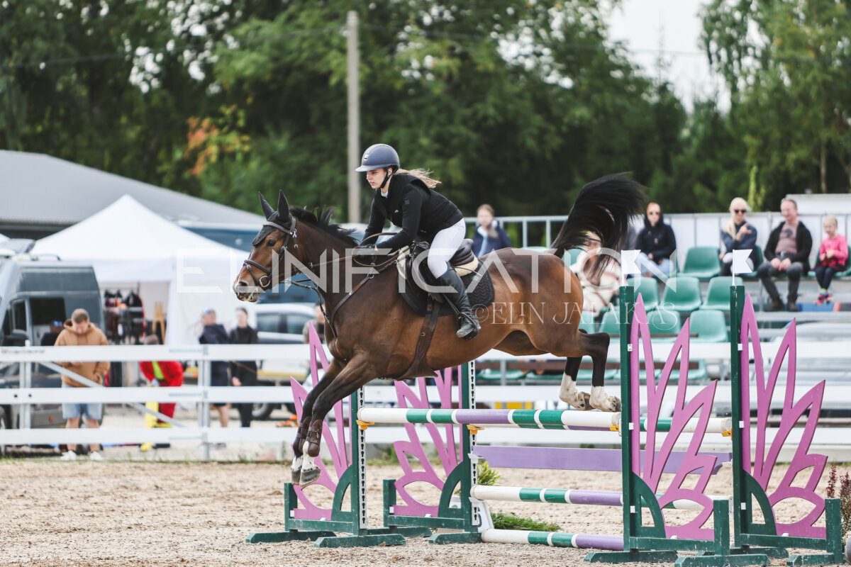 NHTS_2026_4_95cm_168