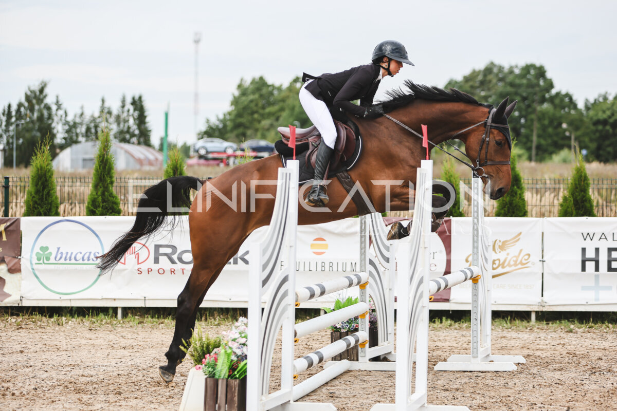 NHTS_2026_4_95cm_174