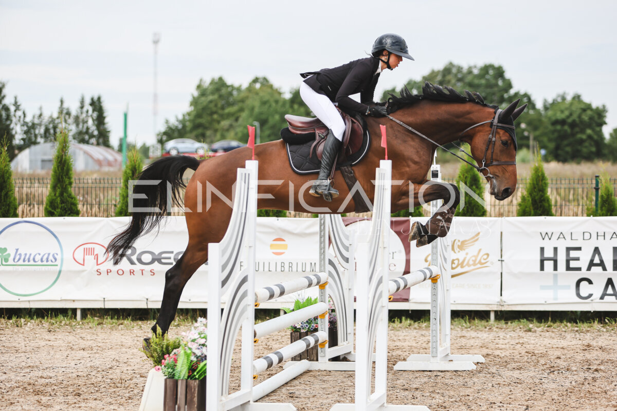 NHTS_2026_4_95cm_175