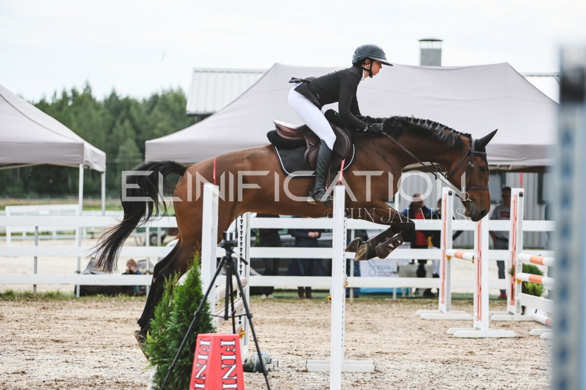 NHTS_2026_4_95cm_178