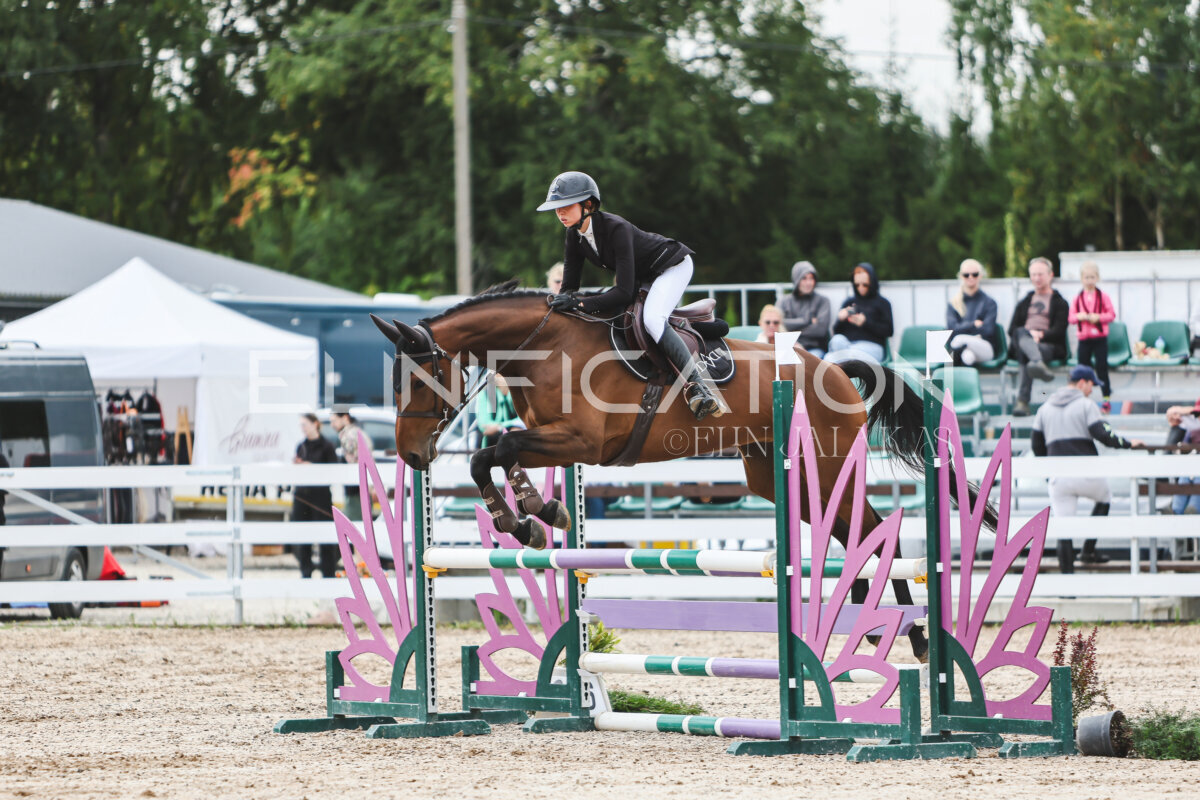 NHTS_2026_4_95cm_179