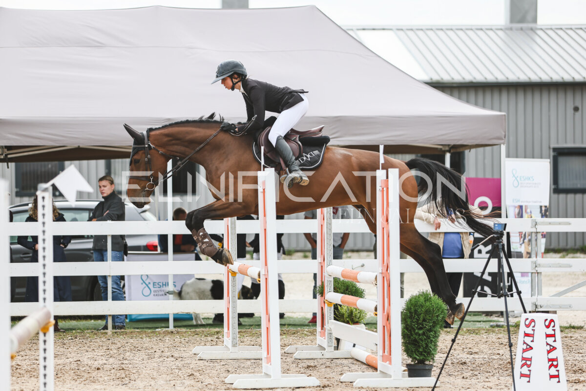 NHTS_2026_4_95cm_181