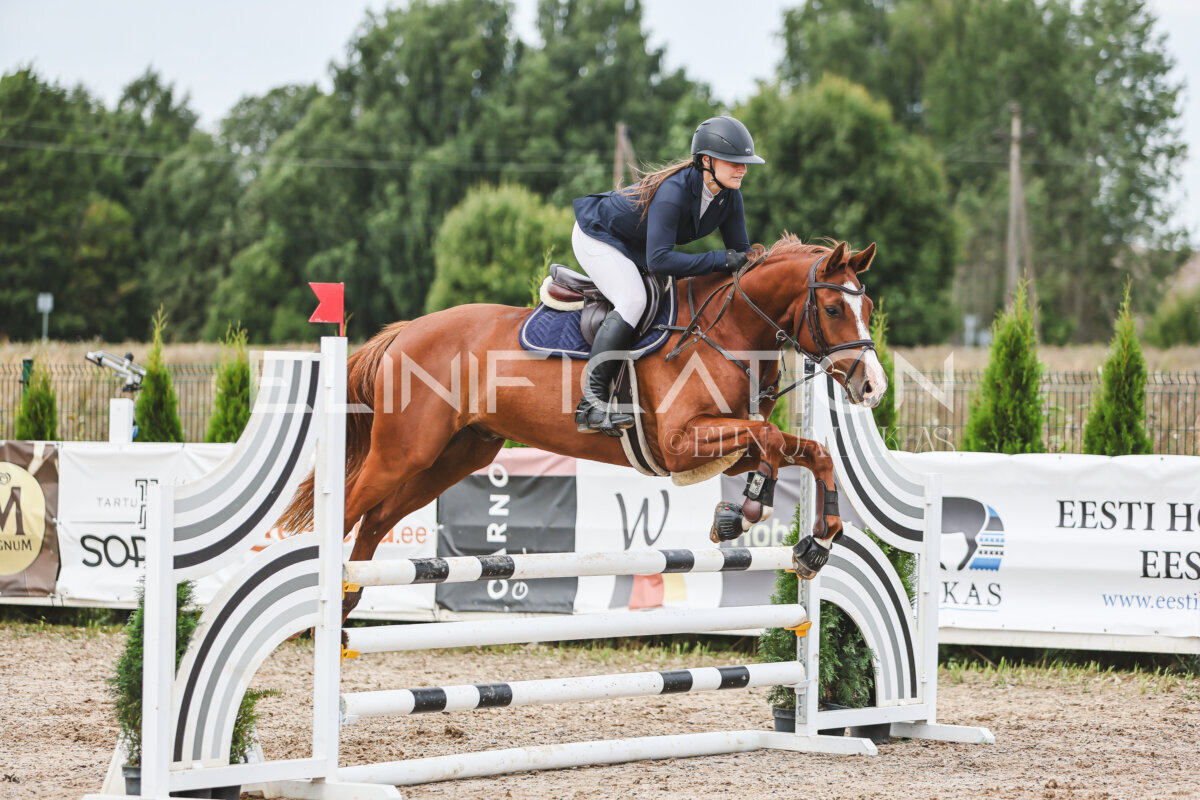 NHTS_2026_4_95cm_186