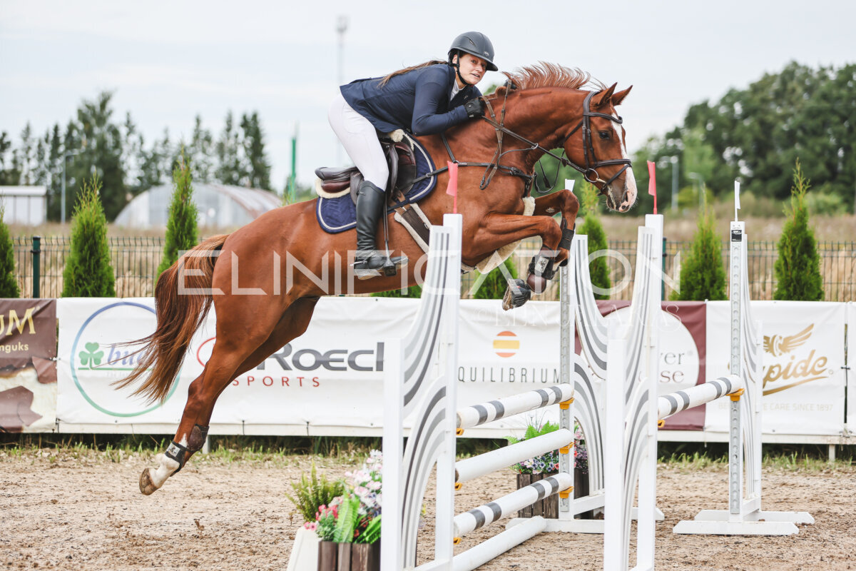 NHTS_2026_4_95cm_187