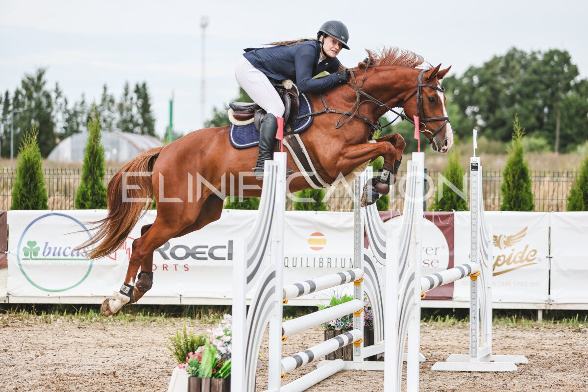 NHTS_2026_4_95cm_188