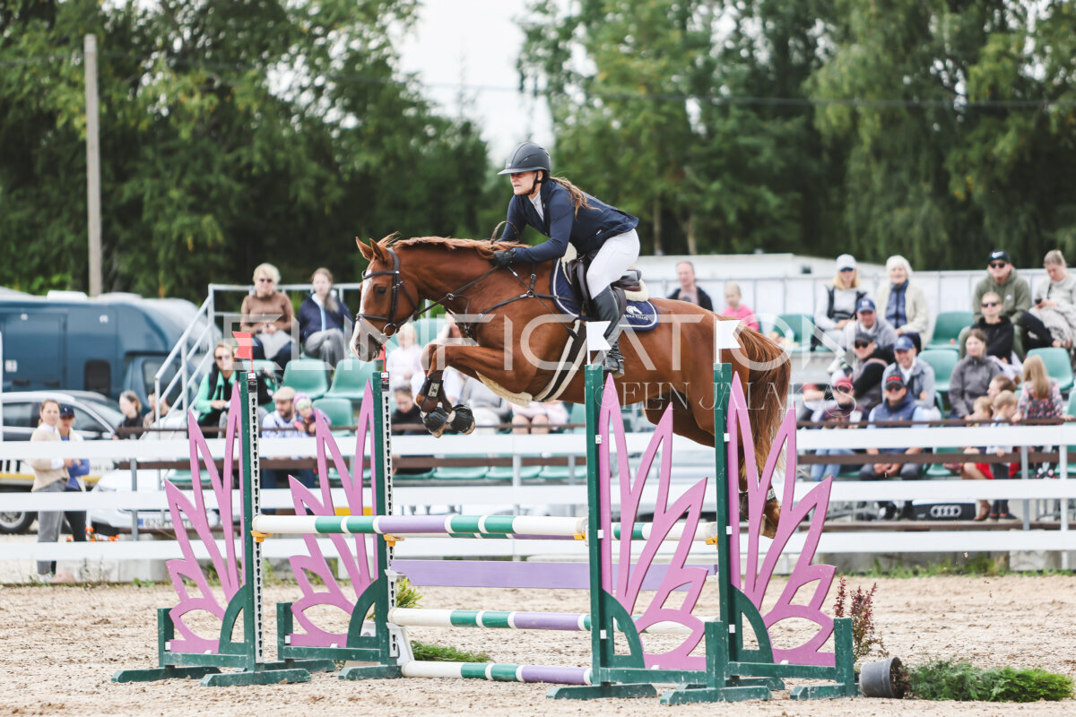 NHTS_2026_4_95cm_191