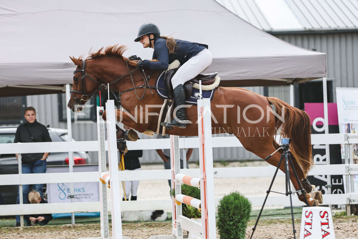 NHTS_2026_4_95cm_193