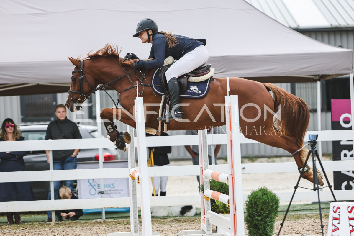 NHTS_2026_4_95cm_194