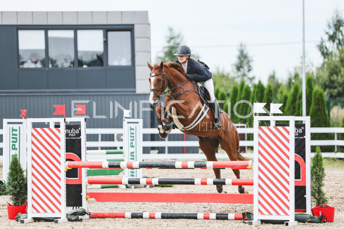 NHTS_2026_4_95cm_195