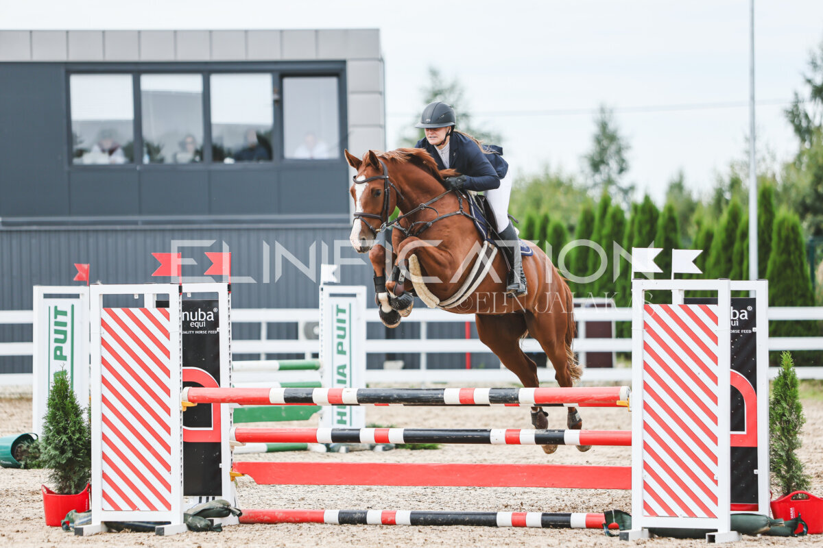 NHTS_2026_4_95cm_196