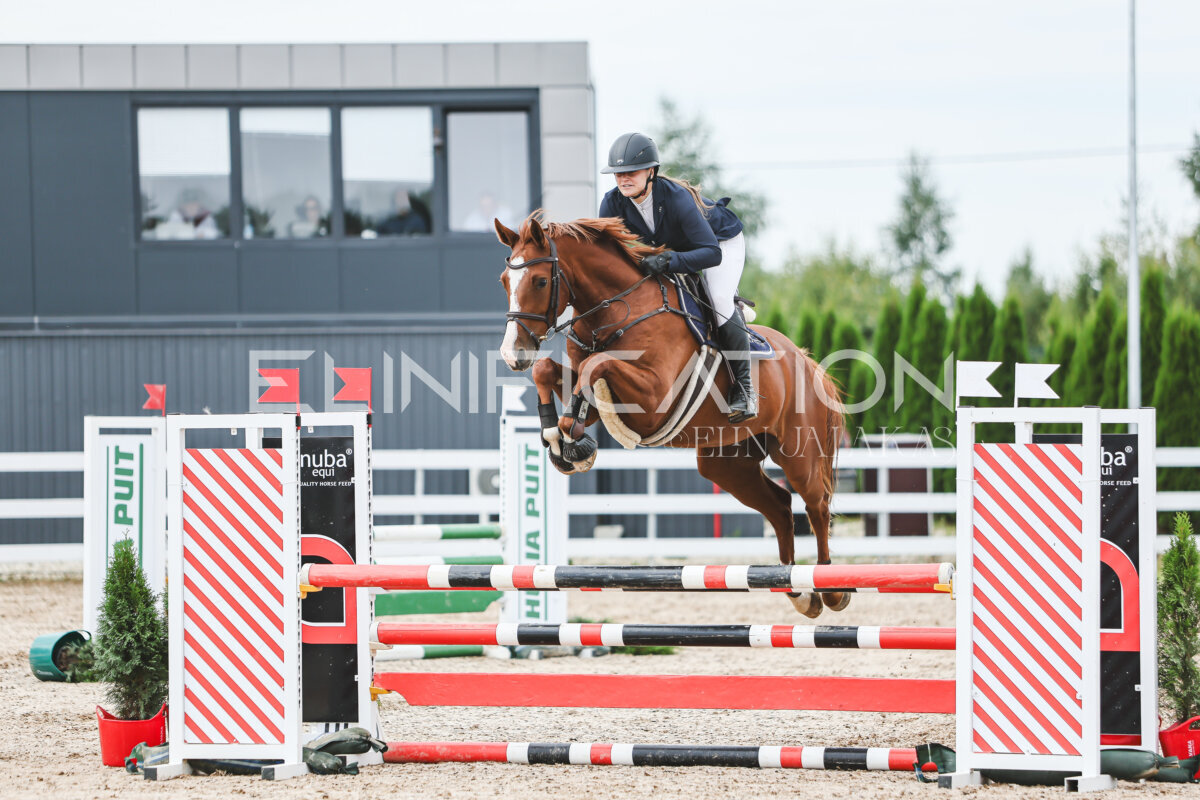 NHTS_2026_4_95cm_197