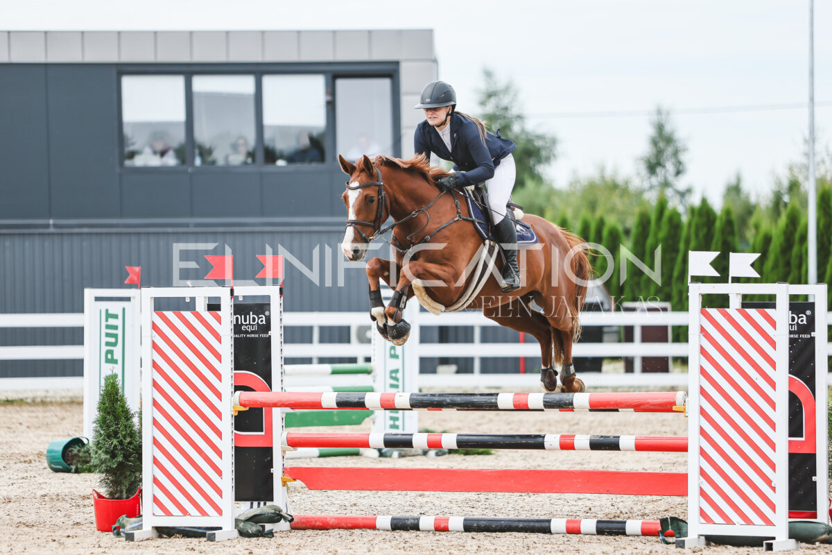 NHTS_2026_4_95cm_198