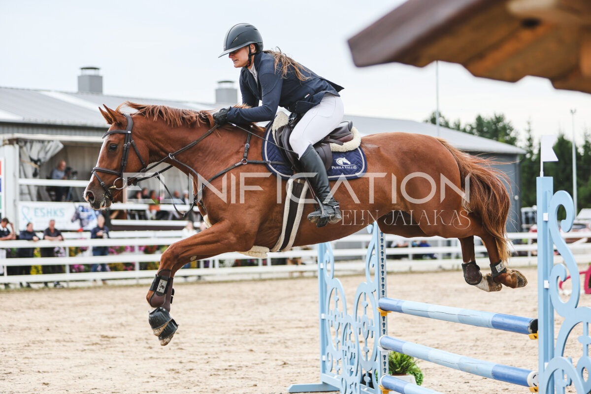 NHTS_2026_4_95cm_199
