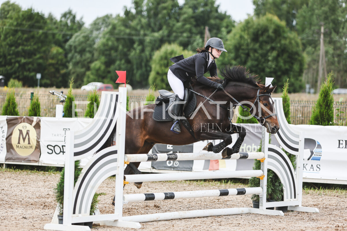 NHTS_2026_4_95cm_200