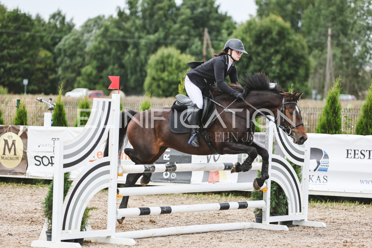 NHTS_2026_4_95cm_201