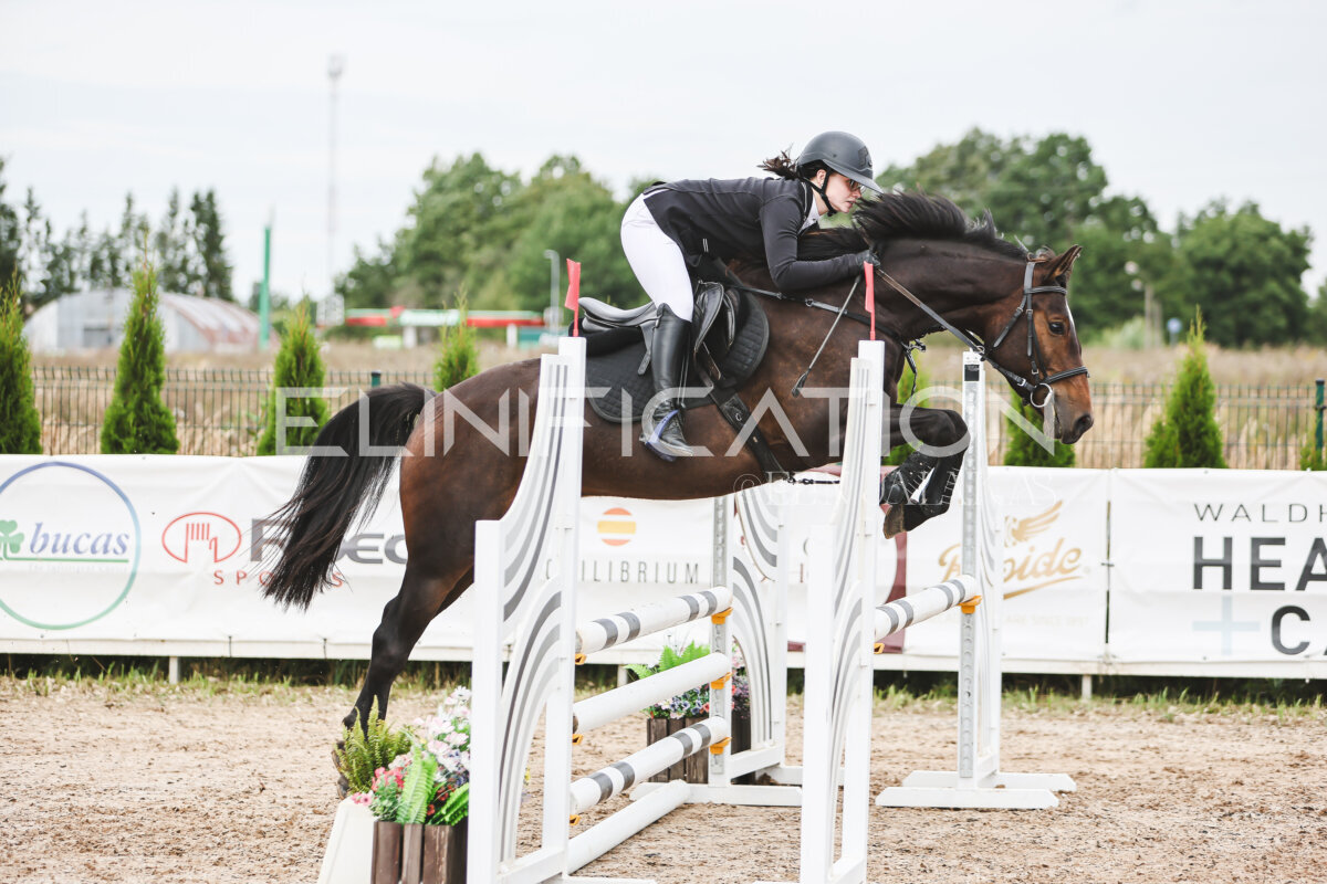 NHTS_2026_4_95cm_202