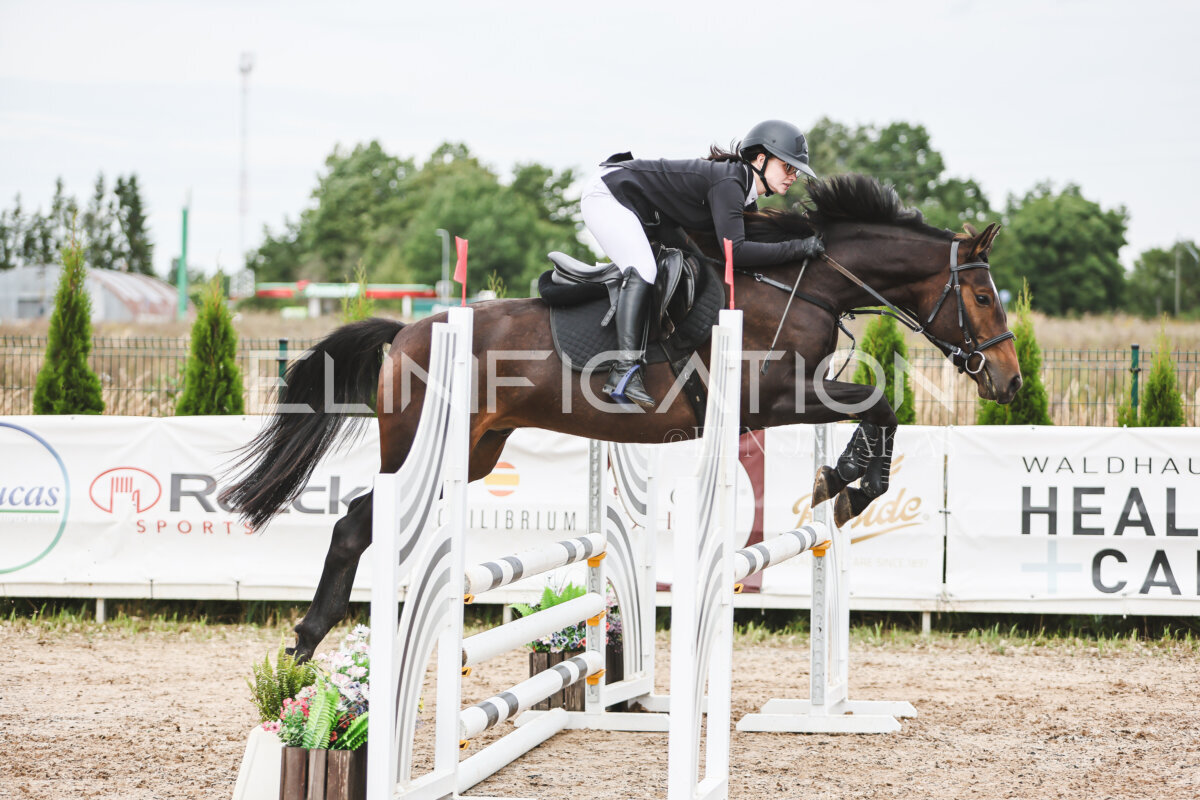 NHTS_2026_4_95cm_203