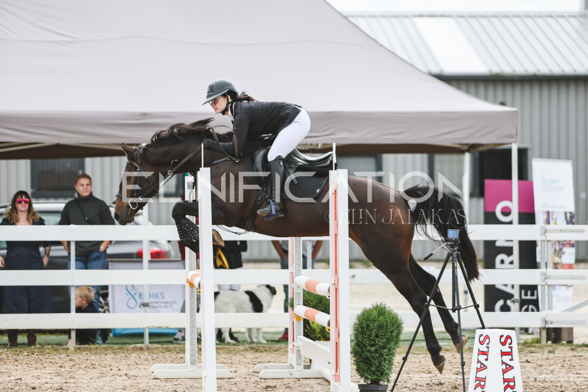 NHTS_2026_4_95cm_205