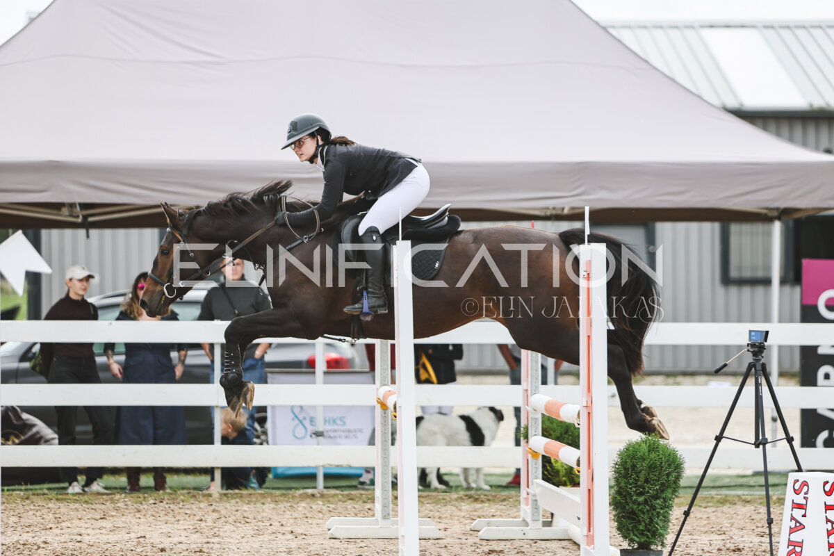 NHTS_2026_4_95cm_207