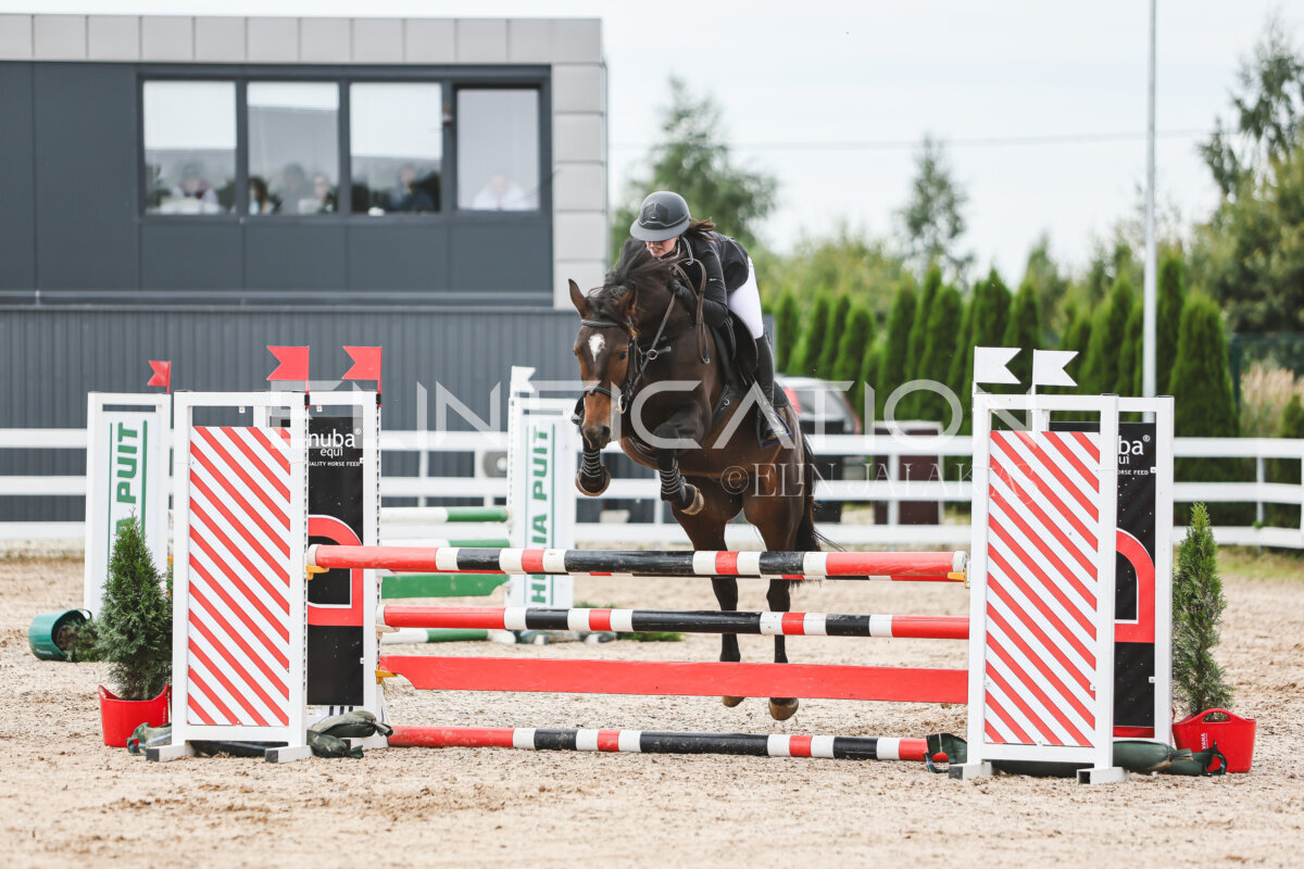 NHTS_2026_4_95cm_208