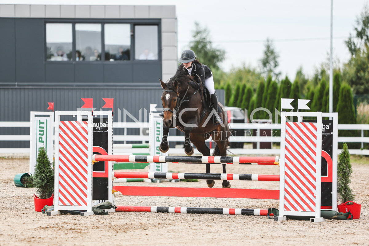 NHTS_2026_4_95cm_209
