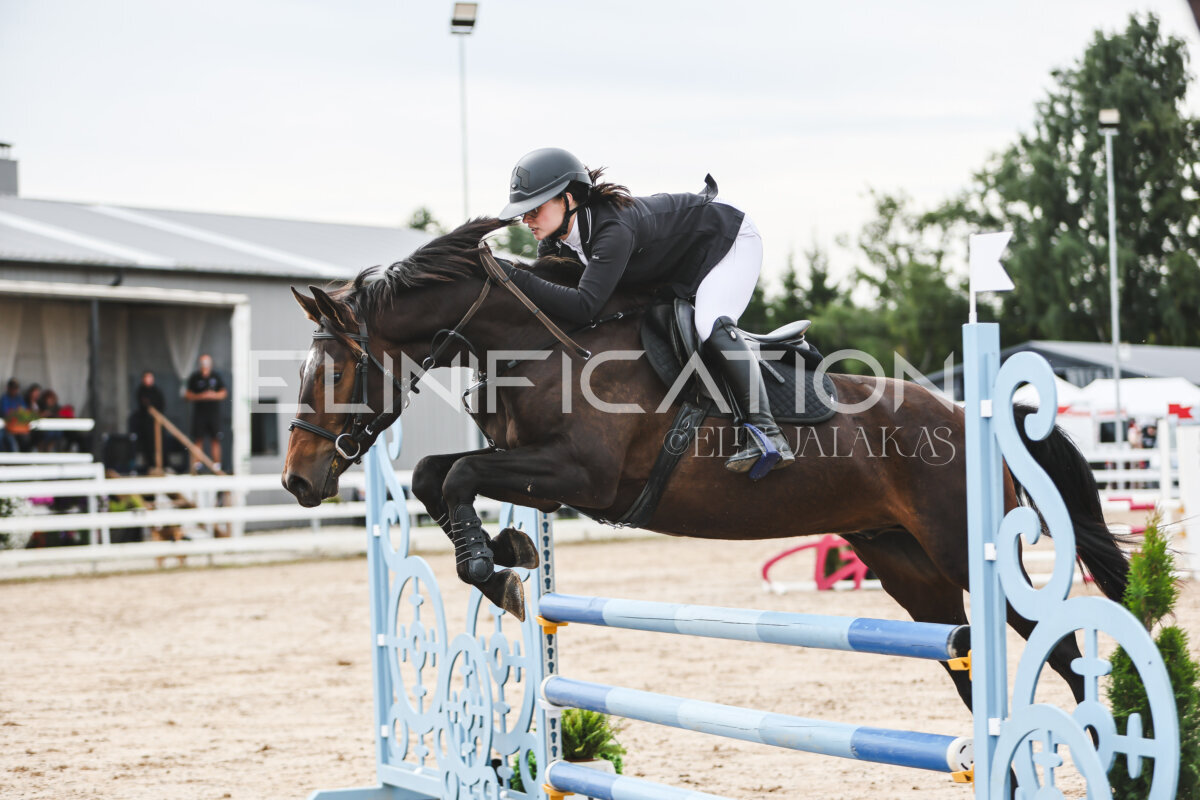 NHTS_2026_4_95cm_210