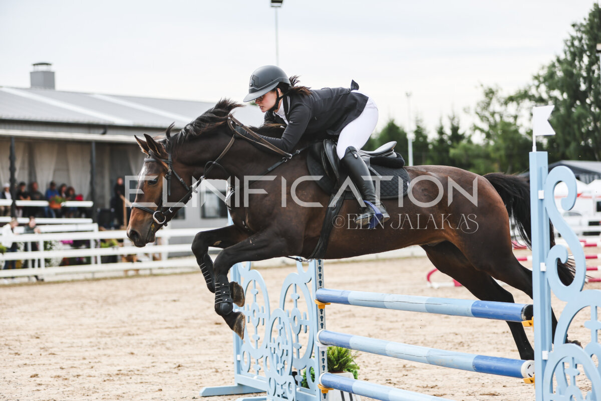 NHTS_2026_4_95cm_211