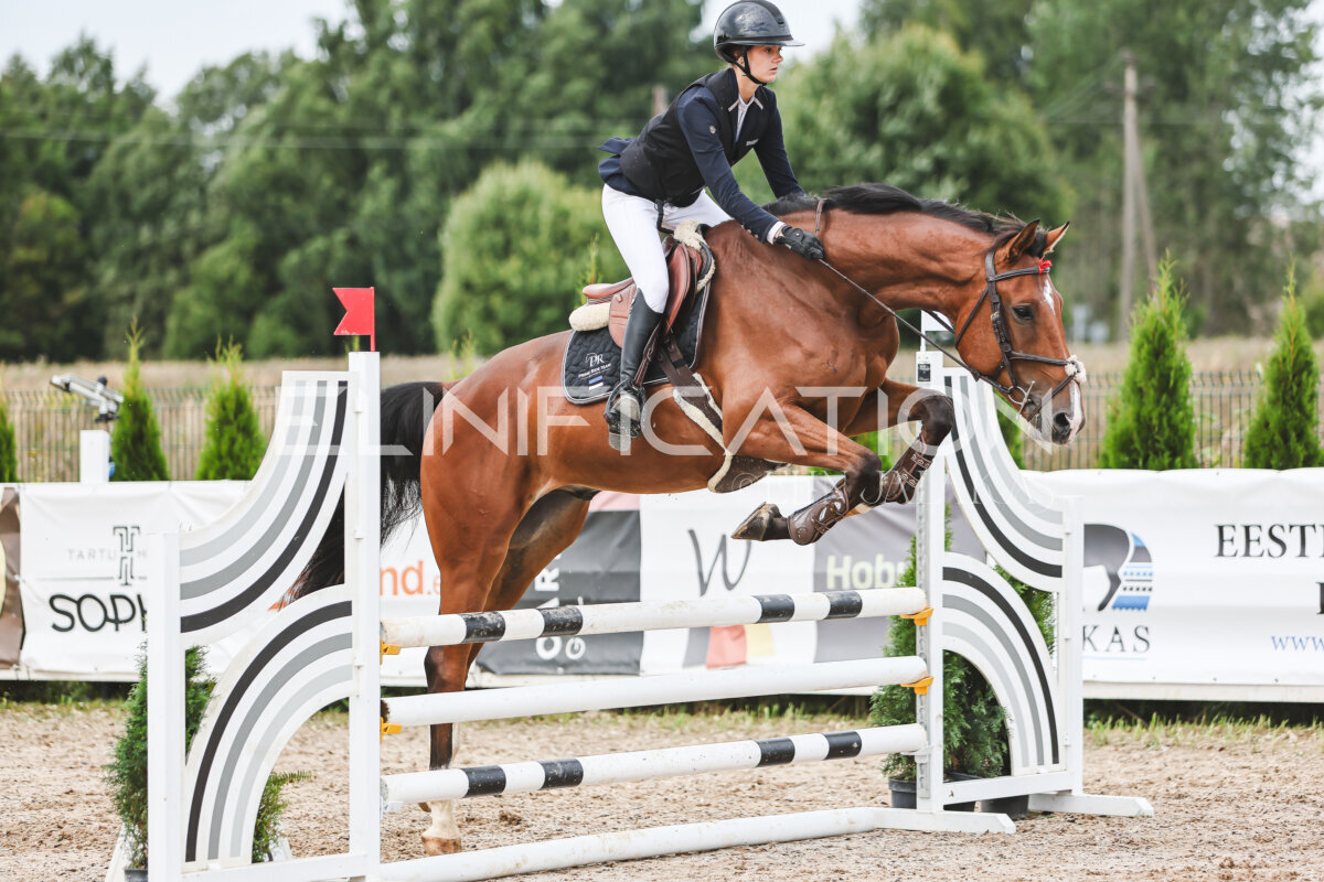 NHTS_2026_4_95cm_212