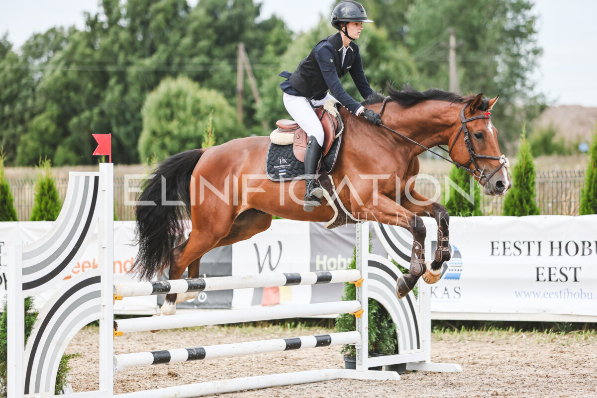 NHTS_2026_4_95cm_213