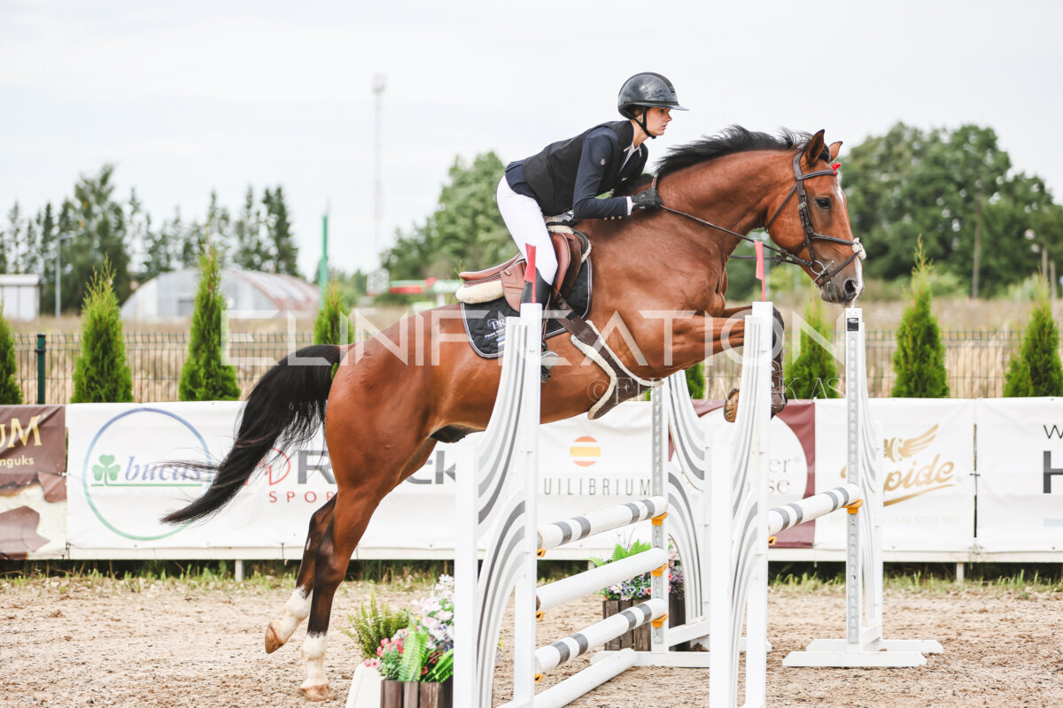 NHTS_2026_4_95cm_214