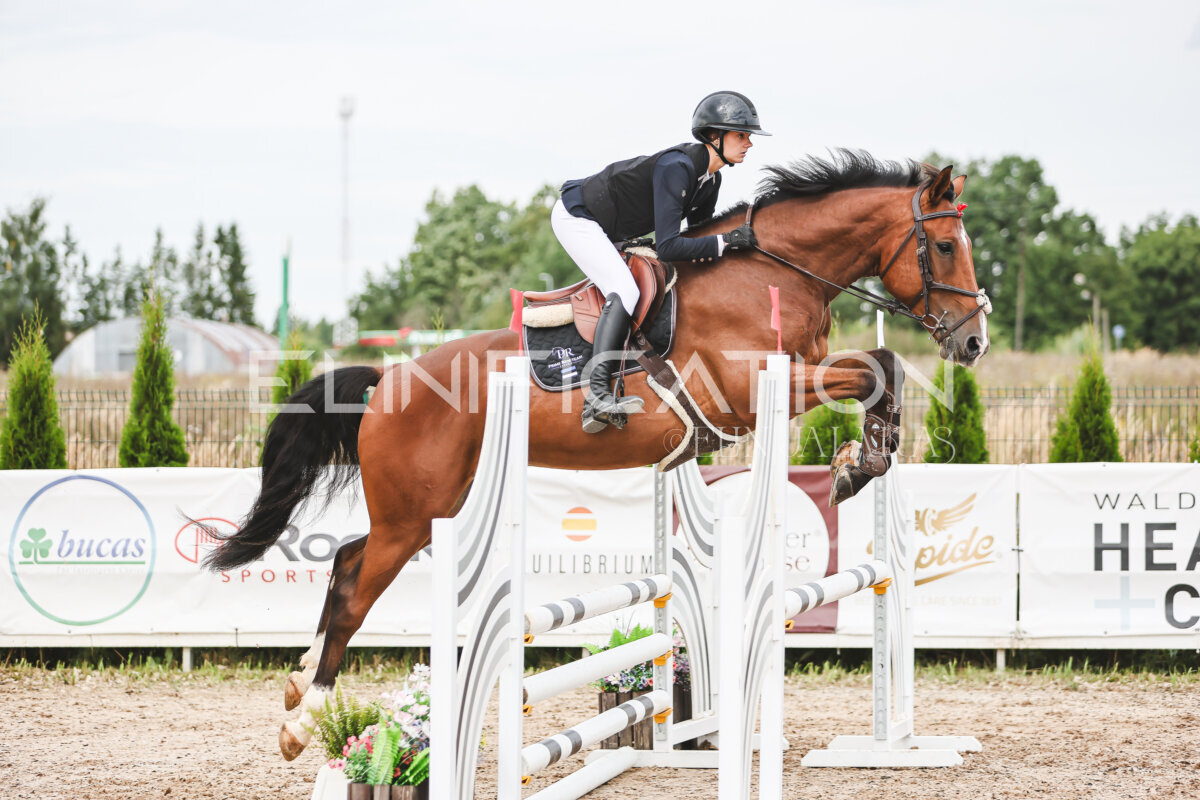 NHTS_2026_4_95cm_215