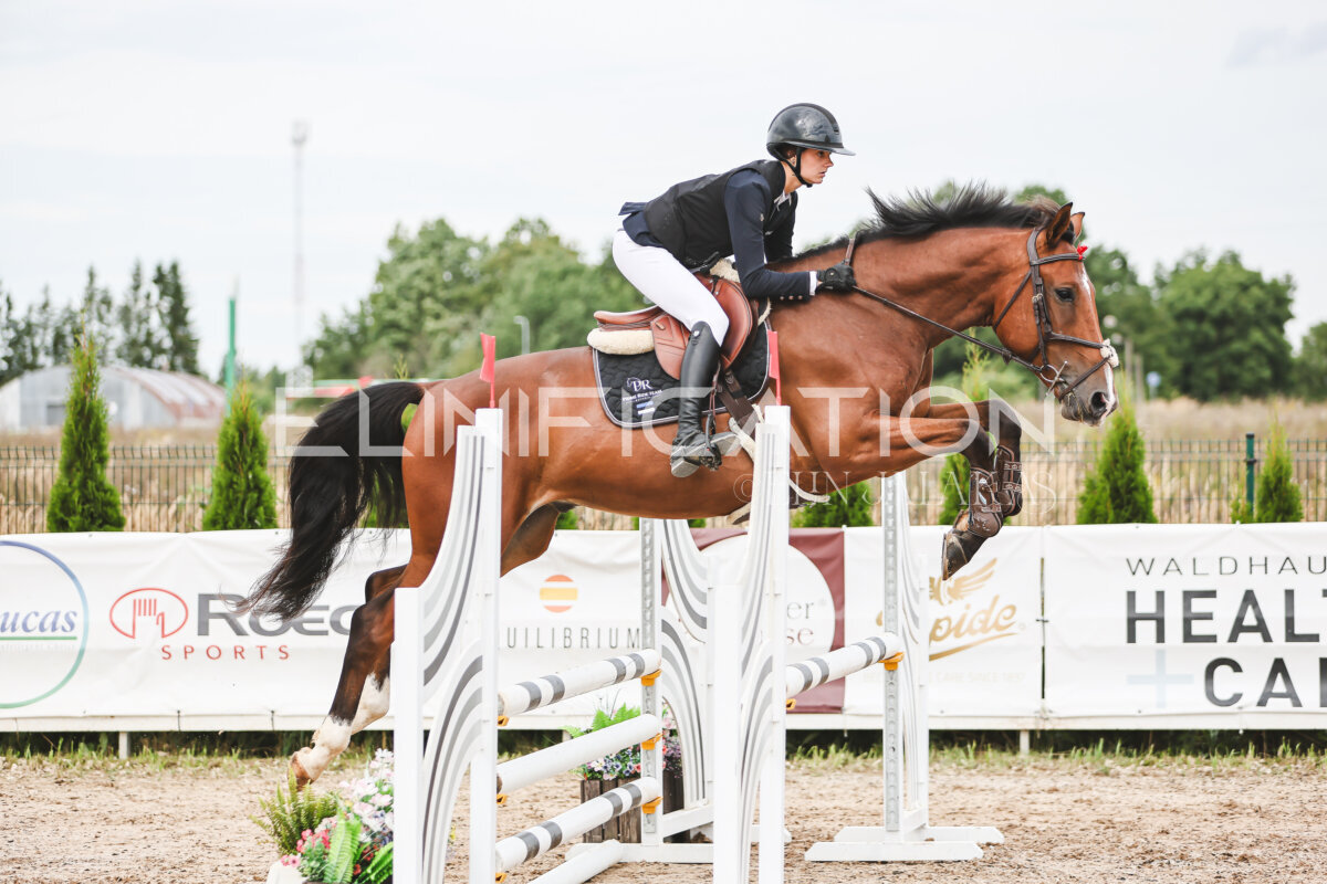 NHTS_2026_4_95cm_216