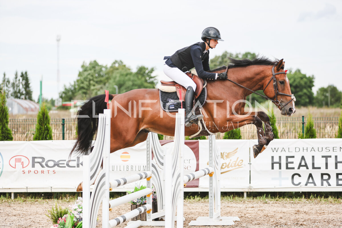 NHTS_2026_4_95cm_217