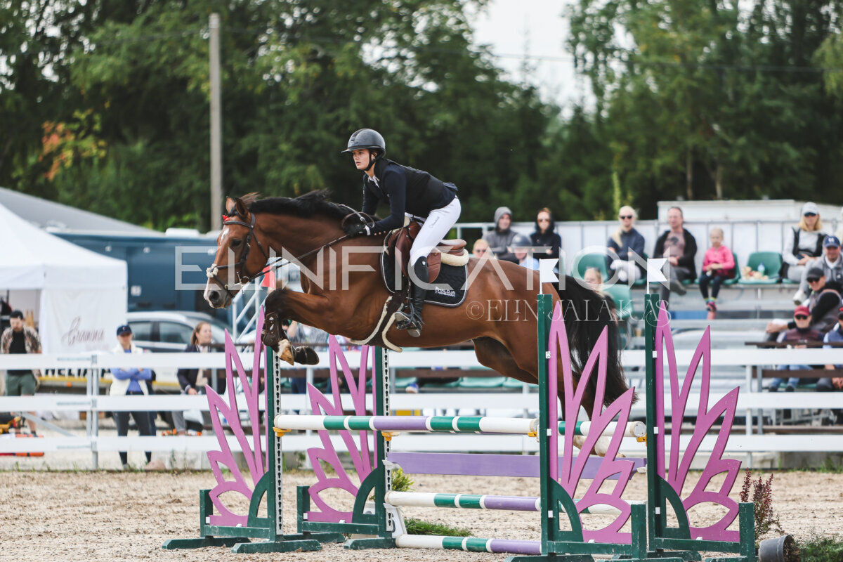 NHTS_2026_4_95cm_218